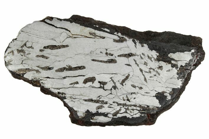 Etched Canyon Diablo Meteorite Slice ( g) - Arizona #356051